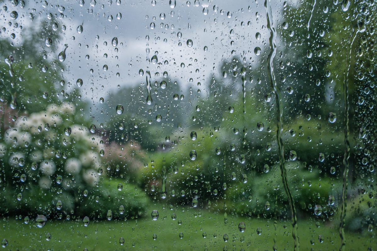 Rain beads and thin rivulets on a window with a green garden blurred beyond.