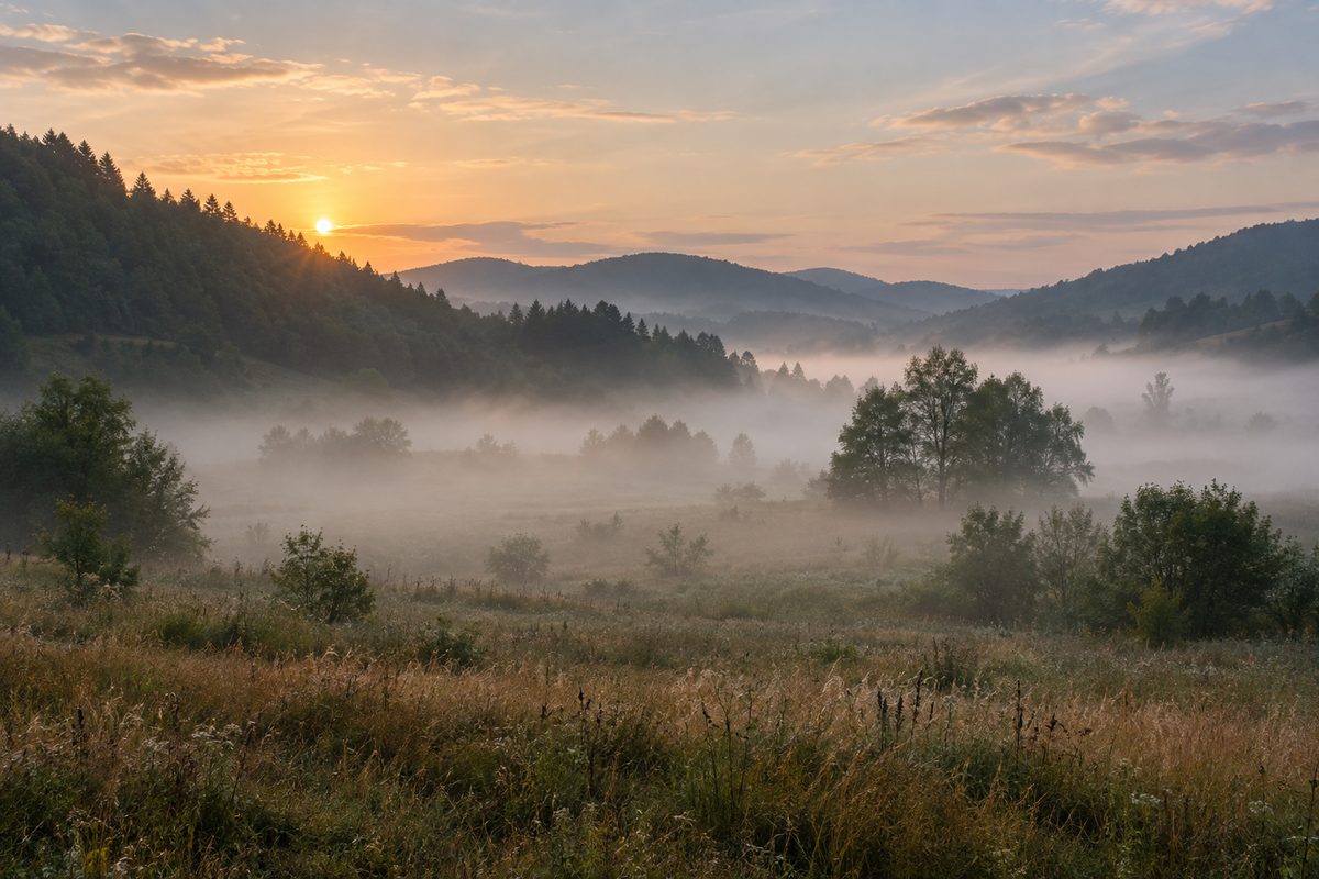 Low fog lies among trees in a meadow below wooded hills at dawn.
